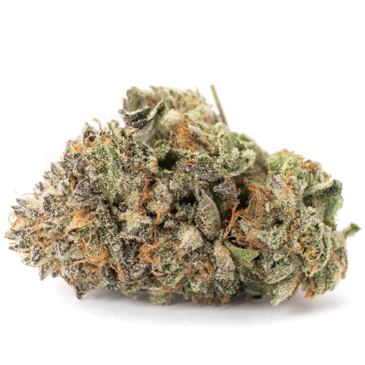 OG Kush